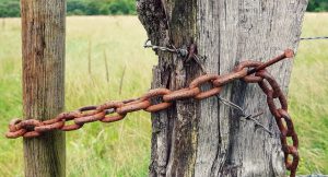 Image of gatepost chained to a tree 
