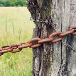Wooden fence post chained to a tree