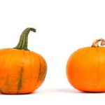 Pumpkins