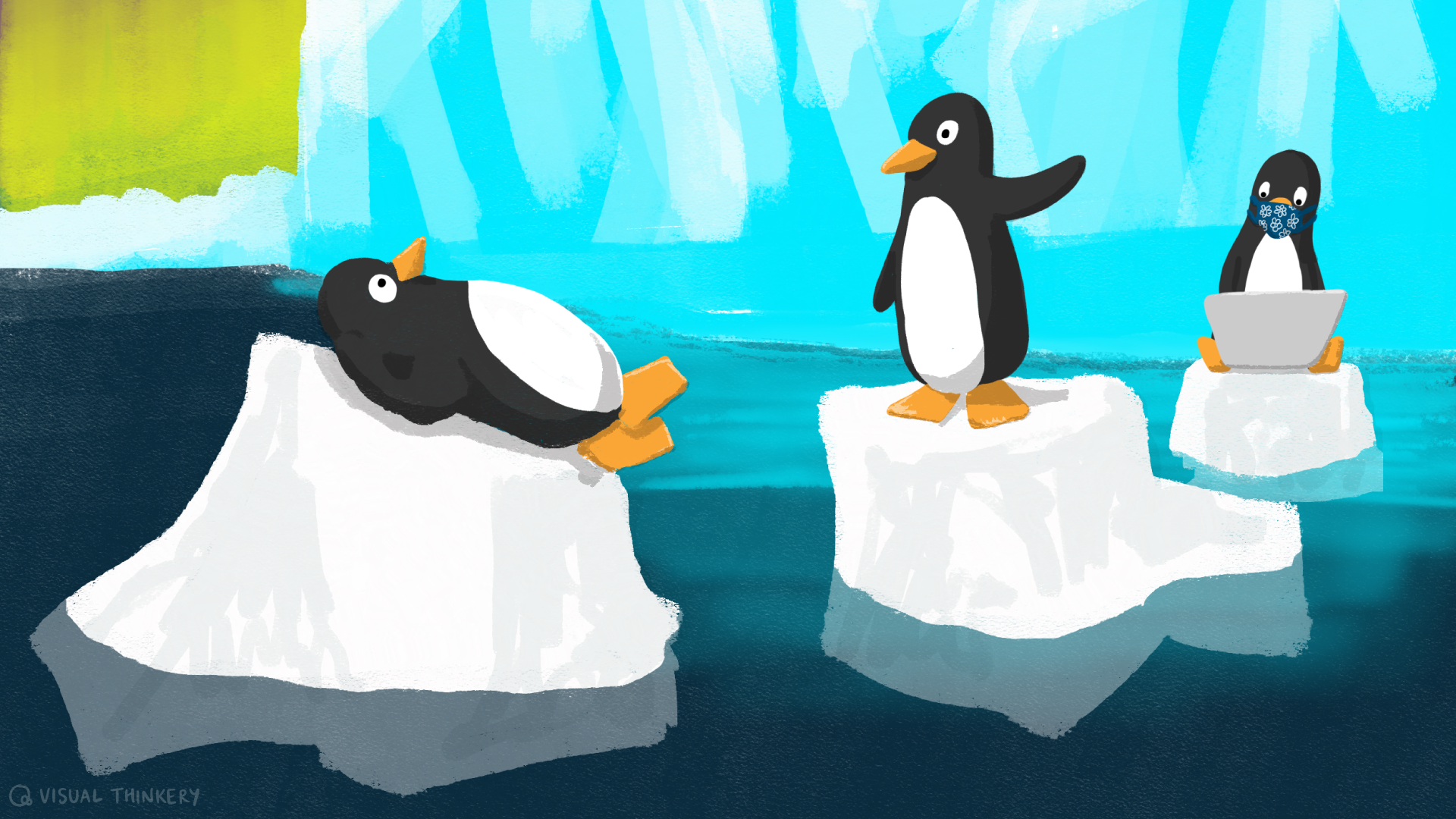 3 penguins floating